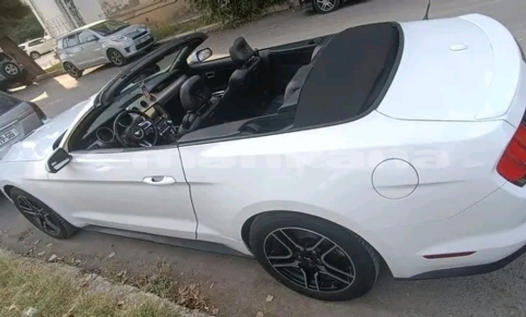 Buy Used BMW X4 White Car in Gudauta in Abhasia Buy Used BMW X4 White Car in Gudauta in Abhasia