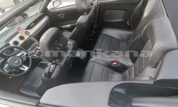 Buy Used BMW X4 White Car in Gudauta in Abhasia Buy Used BMW X4 White Car in Gudauta in Abhasia