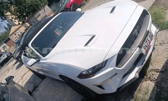 Buy Used BMW X4 White Car in Gudauta in Abhasia Buy Used BMW X4 White Car in Gudauta in Abhasia