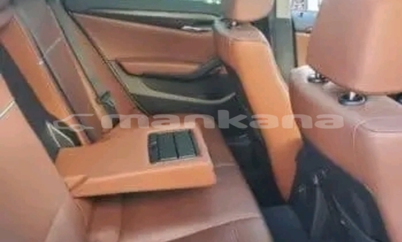 Buy Used Honda Accord White Car in Dusheti in Mcheta-Mtianeti Buy Used Honda Accord White Car in Dusheti in Mcheta-Mtianeti