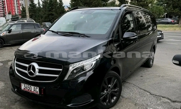 Buy Used Toyota Alphard Black Car in Bagdadi in Imereti Buy Used Toyota Alphard Black Car in Bagdadi in Imereti