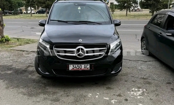 Buy Used Toyota Alphard Black Car in Bagdadi in Imereti Buy Used Toyota Alphard Black Car in Bagdadi in Imereti