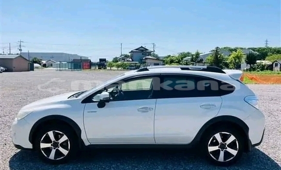 Buy Used Subaru BRZ White Car in Bihvinta in Abhasia Buy Used Subaru BRZ White Car in Bihvinta in Abhasia