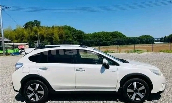 Buy Used Subaru BRZ White Car in Bihvinta in Abhasia Buy Used Subaru BRZ White Car in Bihvinta in Abhasia