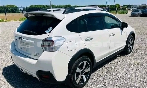 Buy Used Subaru BRZ White Car in Bihvinta in Abhasia Buy Used Subaru BRZ White Car in Bihvinta in Abhasia