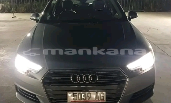 Buy Used Audi A4 Other Car in Bihvinta in Abhasia Buy Used Audi A4 Other Car in Bihvinta in Abhasia