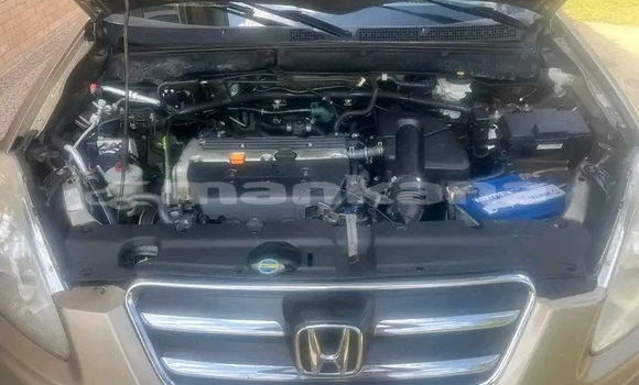 Buy Used Toyota RAV4 Other Car in Gulripshi in Abhasia Buy Used Toyota RAV4 Other Car in Gulripshi in Abhasia