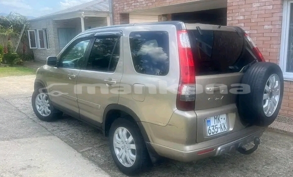 Buy Used Toyota RAV4 Other Car in Gulripshi in Abhasia Buy Used Toyota RAV4 Other Car in Gulripshi in Abhasia