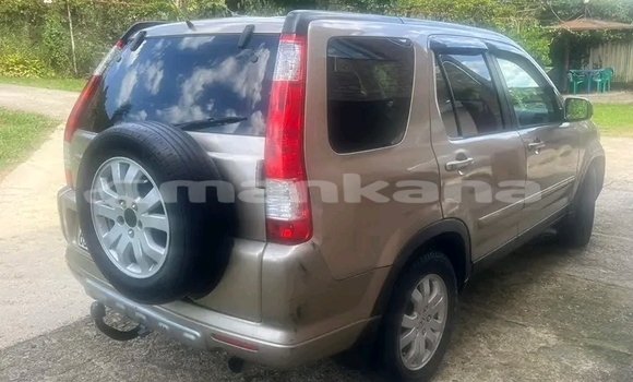 Buy Used Toyota RAV4 Other Car in Gulripshi in Abhasia Buy Used Toyota RAV4 Other Car in Gulripshi in Abhasia