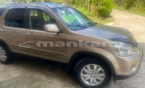 Buy Used Toyota RAV4 Other Car in Gulripshi in Abhasia Buy Used Toyota RAV4 Other Car in Gulripshi in Abhasia