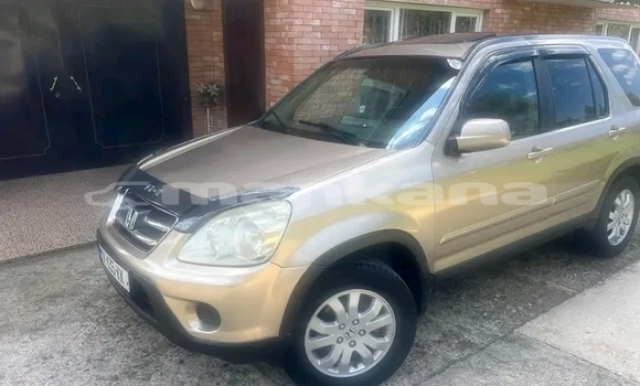 Buy Used Toyota RAV4 Other Car in Gulripshi in Abhasia Buy Used Toyota RAV4 Other Car in Gulripshi in Abhasia