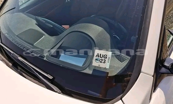 Buy Used BMW 501 White Car in Bihvinta in Abhasia Buy Used BMW 501 White Car in Bihvinta in Abhasia