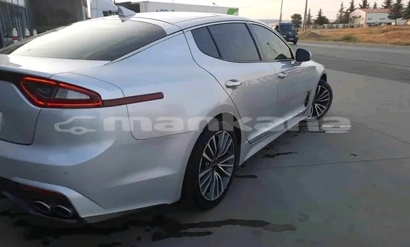 Buy Used Kia Shuma Other Car in Bihvinta in Abhasia Buy Used Kia Shuma Other Car in Bihvinta in Abhasia