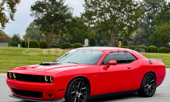 Buy Used Dodge Challenger Red Car in Tbilisi in Tbilisi Buy Used Dodge Challenger Red Car in Tbilisi in Tbilisi