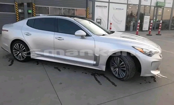 Buy Used Kia K9 Other Car in Bihvinta in Abhasia