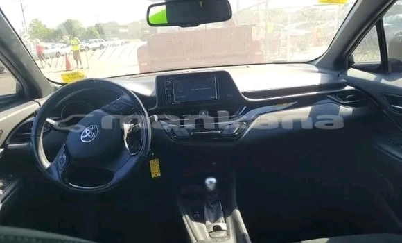 Buy Used Toyota C-HR Other Car in Bihvinta in Abhasia Buy Used Toyota C-HR Other Car in Bihvinta in Abhasia