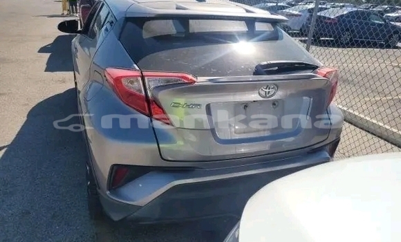 Buy Used Toyota C-HR Other Car in Bihvinta in Abhasia Buy Used Toyota C-HR Other Car in Bihvinta in Abhasia