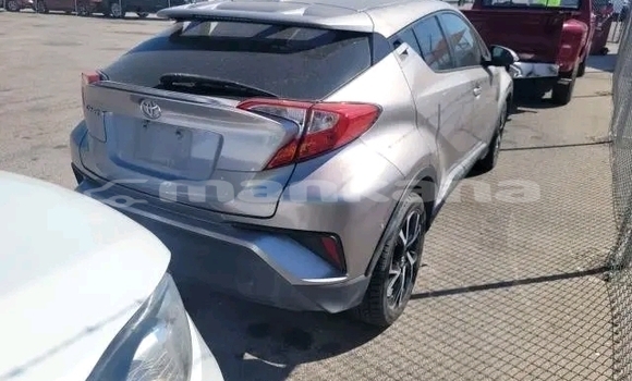 Buy Used Toyota C-HR Other Car in Bihvinta in Abhasia Buy Used Toyota C-HR Other Car in Bihvinta in Abhasia