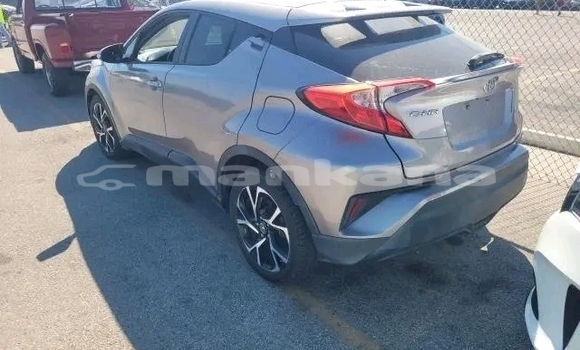 Buy Used Toyota C-HR Other Car in Bihvinta in Abhasia Buy Used Toyota C-HR Other Car in Bihvinta in Abhasia