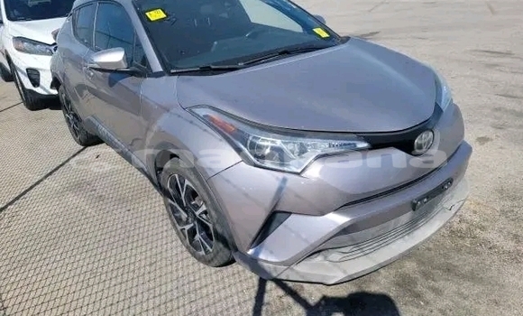 Buy Used Toyota C-HR Other Car in Bihvinta in Abhasia Buy Used Toyota C-HR Other Car in Bihvinta in Abhasia