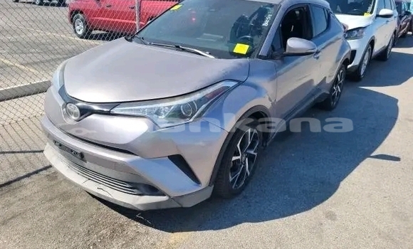 Buy Used Toyota C-HR Other Car in Bihvinta in Abhasia Buy Used Toyota C-HR Other Car in Bihvinta in Abhasia