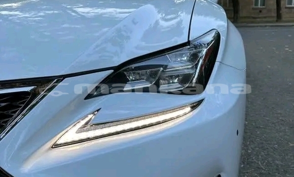 Buy Used Lexus IS 300 White Car in Bihvinta in Abhasia Buy Used Lexus IS 300 White Car in Bihvinta in Abhasia