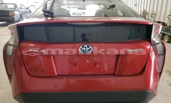 Buy Used Toyota Prius Red Car in Bihvinta in Abhasia Buy Used Toyota Prius Red Car in Bihvinta in Abhasia