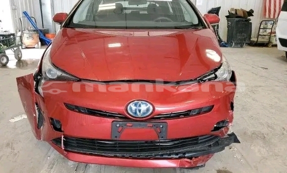 Buy Used Toyota Prius Red Car in Bihvinta in Abhasia Buy Used Toyota Prius Red Car in Bihvinta in Abhasia