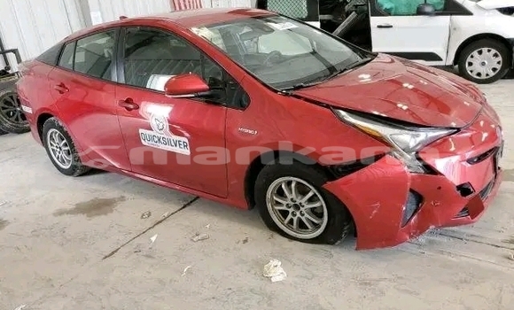 Buy Used Toyota Prius Red Car in Bihvinta in Abhasia Buy Used Toyota Prius Red Car in Bihvinta in Abhasia