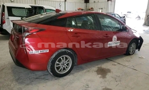 Buy Used Toyota Prius Red Car in Bihvinta in Abhasia Buy Used Toyota Prius Red Car in Bihvinta in Abhasia