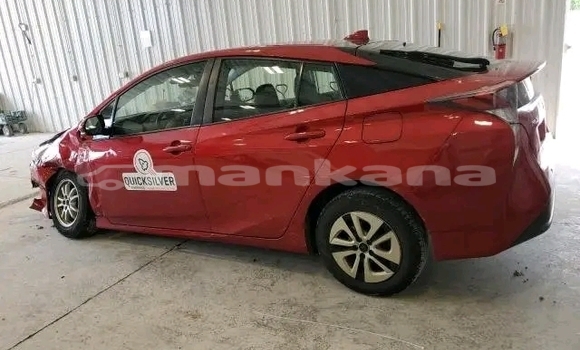Buy Used Toyota Prius Red Car in Bihvinta in Abhasia Buy Used Toyota Prius Red Car in Bihvinta in Abhasia