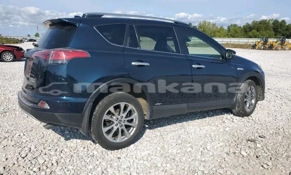 Buy Used Toyota RAV4 Other Car in Gudauta in Abhasia Buy Used Toyota RAV4 Other Car in Gudauta in Abhasia