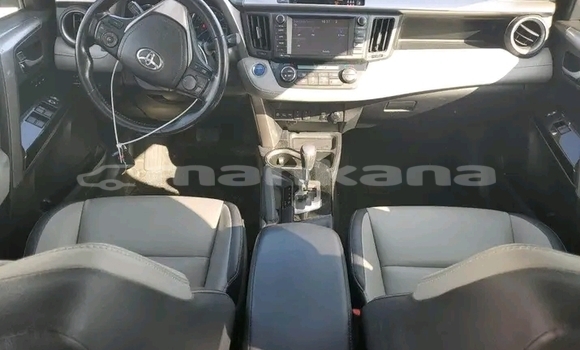 Buy Used Toyota RAV4 Other Car in Gudauta in Abhasia Buy Used Toyota RAV4 Other Car in Gudauta in Abhasia