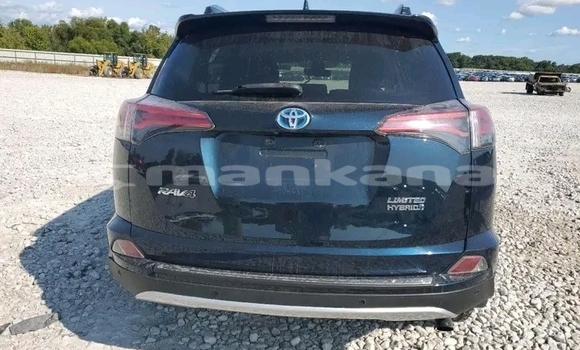 Buy Used Toyota RAV4 Other Car in Gudauta in Abhasia Buy Used Toyota RAV4 Other Car in Gudauta in Abhasia