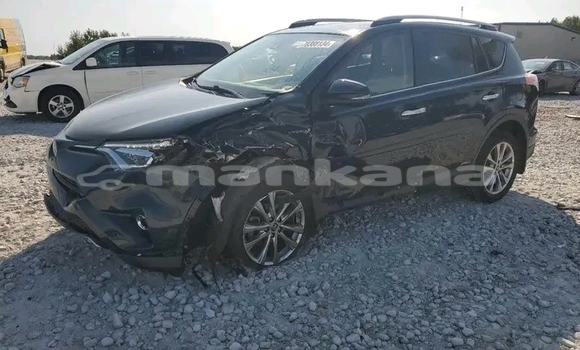 Buy Used Toyota RAV4 Other Car in Gudauta in Abhasia Buy Used Toyota RAV4 Other Car in Gudauta in Abhasia