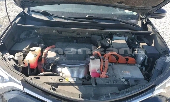 Buy Used Toyota RAV4 Other Car in Gudauta in Abhasia Buy Used Toyota RAV4 Other Car in Gudauta in Abhasia
