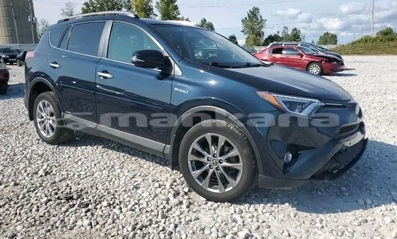 Buy Used Toyota RAV4 Other Car in Gudauta in Abhasia Buy Used Toyota RAV4 Other Car in Gudauta in Abhasia