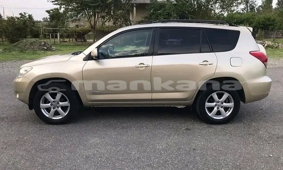 Buy Used Toyota RAV4 Other Car in Bihvinta in Abhasia Buy Used Toyota RAV4 Other Car in Bihvinta in Abhasia