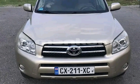 Buy Used Toyota RAV4 Other Car in Bihvinta in Abhasia Buy Used Toyota RAV4 Other Car in Bihvinta in Abhasia