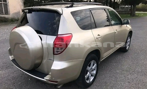 Buy Used Toyota RAV4 Other Car in Bihvinta in Abhasia Buy Used Toyota RAV4 Other Car in Bihvinta in Abhasia