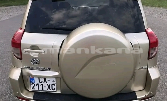 Buy Used Toyota RAV4 Other Car in Bihvinta in Abhasia Buy Used Toyota RAV4 Other Car in Bihvinta in Abhasia