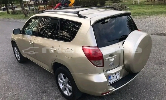 Buy Used Toyota RAV4 Other Car in Bihvinta in Abhasia Buy Used Toyota RAV4 Other Car in Bihvinta in Abhasia