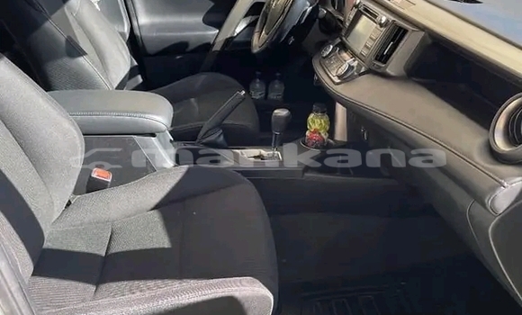 Buy Used Toyota RAV4 White Car in Gagra in Abhasia Buy Used Toyota RAV4 White Car in Gagra in Abhasia