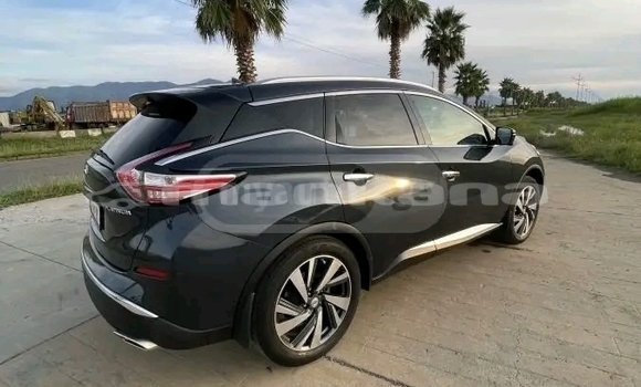 Buy Used Nissan Murano Black Car in Bihvinta in Abhasia Buy Used Nissan Murano Black Car in Bihvinta in Abhasia