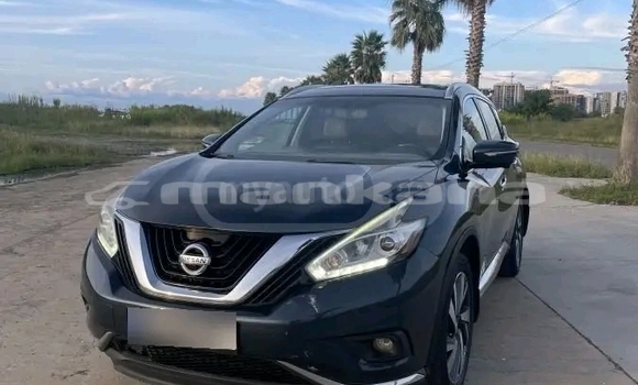 Buy Used Nissan Murano Black Car in Bihvinta in Abhasia Buy Used Nissan Murano Black Car in Bihvinta in Abhasia