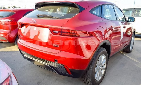 Buy Import Jaguar E-Pace Red Car in Import - Dubai in Abhasia Buy Import Jaguar E-Pace Red Car in Import - Dubai in Abhasia