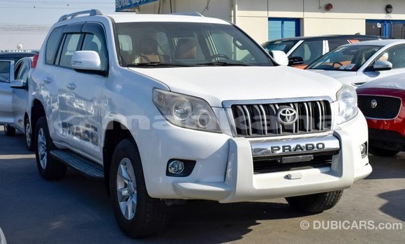 Buy Import Toyota Prado White Car in Import - Dubai in Abhasia Buy Import Toyota Prado White Car in Import - Dubai in Abhasia