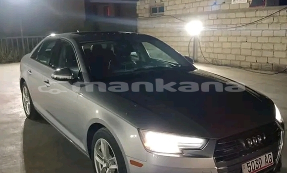 Buy Used Audi A4 Other Car in Dioknisi in Ajaria Buy Used Audi A4 Other Car in Dioknisi in Ajaria