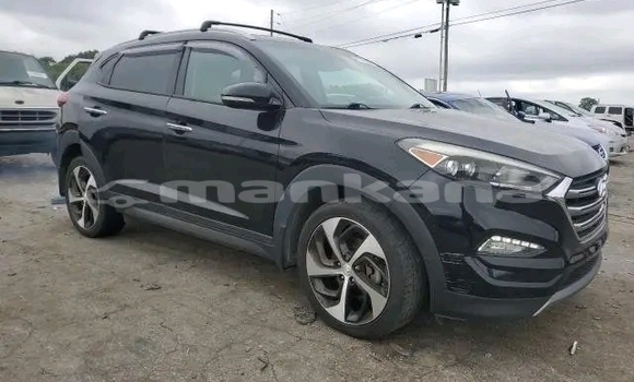 Buy Used Hyundai Tucson Black Car in Dedoplisckaro in Kaheti Buy Used Hyundai Tucson Black Car in Dedoplisckaro in Kaheti