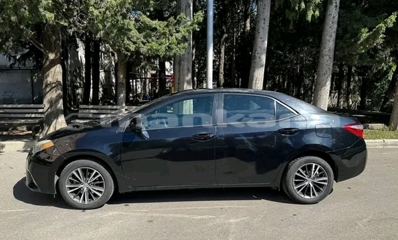 Buy Used Toyota Corolla Other Car in Bihvinta in Abhasia